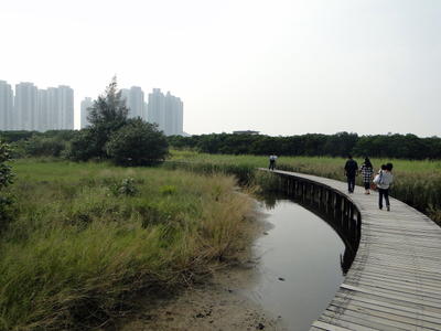 HK Wetland Park 086.JPG