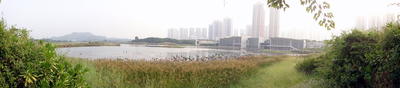 HK Wetland Park 123.JPG