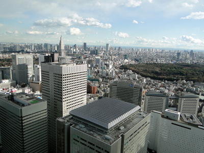 Japan - Tokyo Metropolitan Government Offices (16).JPG