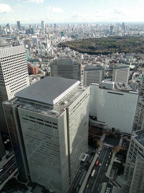 Japan - Tokyo Metropolitan Government Offices (18).JPG