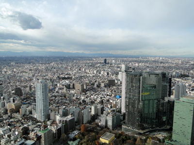 Japan - Tokyo Metropolitan Government Offices (21).JPG