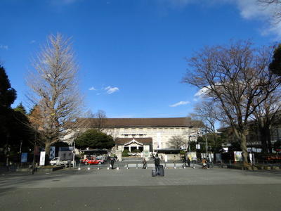 Tokyo National Museum Ueno (2).JPG