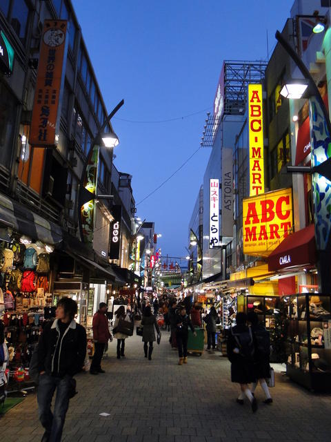 Tokyo Ueno (4).JPG