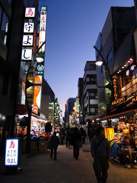 Tokyo Ueno (5).JPG