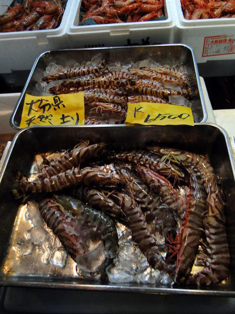 Tsukijishijo Fish Market (15).JPG
