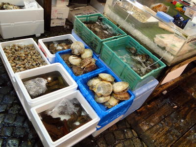 Tsukijishijo Fish Market (17).JPG
