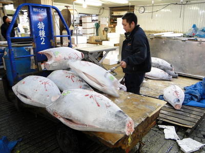 Tsukijishijo Fish Market (1).JPG