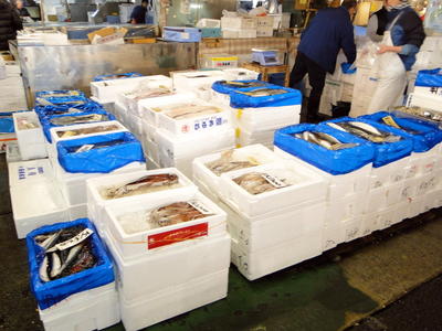 Tsukijishijo Fish Market (5).JPG
