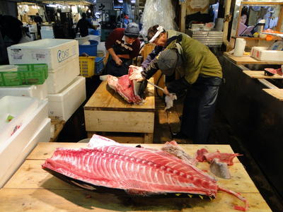 Tsukijishijo Fish Market (7).JPG