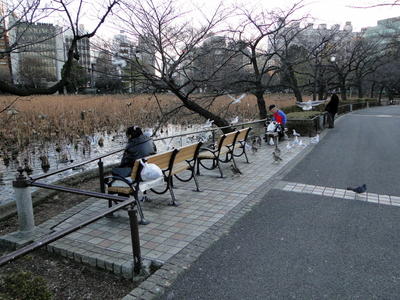Ueno Park (41).JPG
