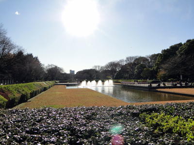 Ueno Park (6).JPG