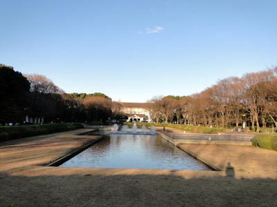 Ueno Park (9).JPG