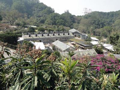 Kadoori Farm HK-37.JPG