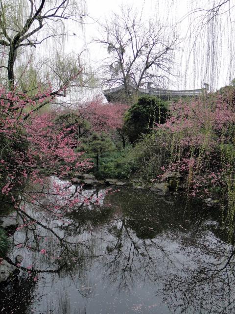 Hangzhou Qu Yuan Garden 
(10).JPG
