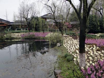Hangzhou Qu Yuan Garden 
(51).JPG