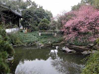 Hangzhou Qu Yuan Garden 
(5).JPG