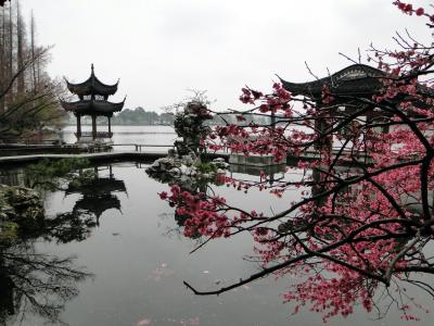 Hangzhou Qu Yuan Garden 
(69).JPG