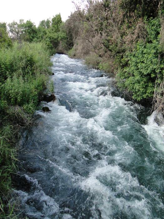 Tel Dan Spring Tel Dan Springs & Nature Reserve : Northern Israel | Visions of Travel