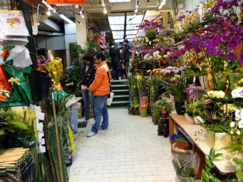 Flower market - Kowloon (11).JPG