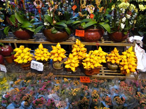 Flower market - Kowloon (13).JPG