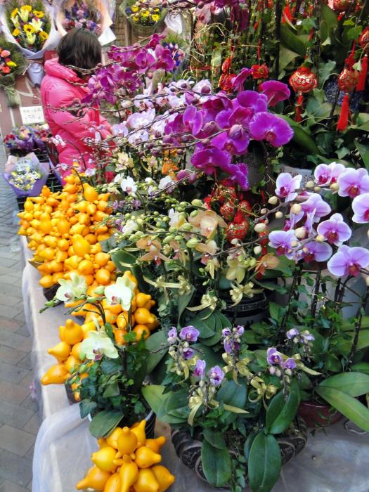 Flower market - Kowloon (30).JPG