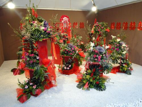 HK Flower Exhibition - Victoria Park -2034.JPG