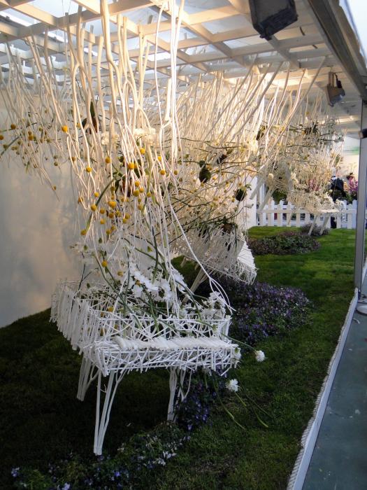 HK Flower Exhibition - Victoria Park -2037.JPG