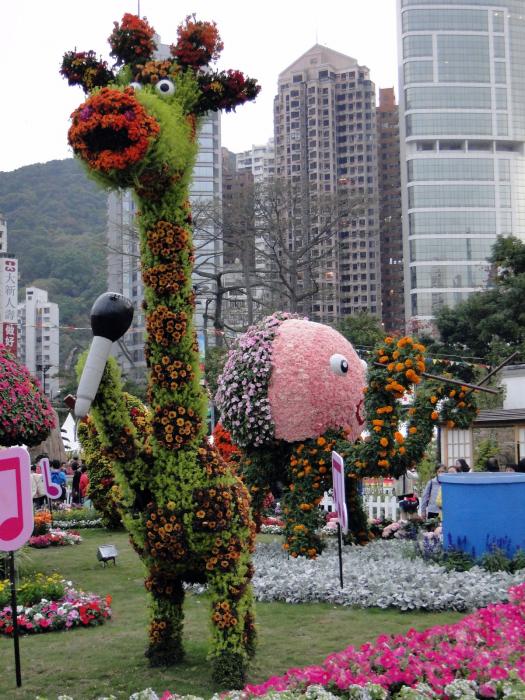 HK Flower Exhibition - Victoria Park -2053.JPG