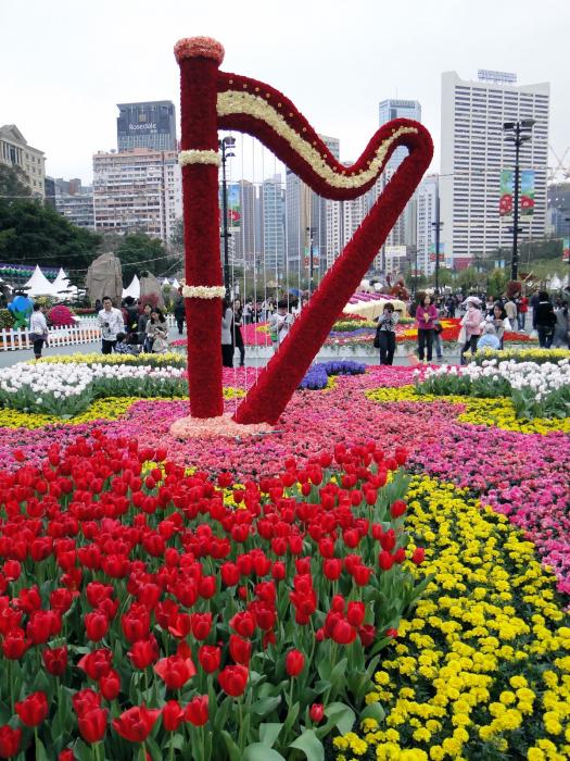 HK Flower Exhibition - Victoria Park -2071.JPG
