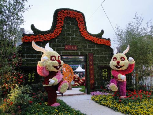 HK Flower Exhibition - Victoria Park -2075.JPG