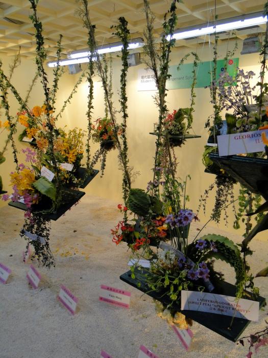 HK Flower Exhibition - Victoria Park -2092.JPG