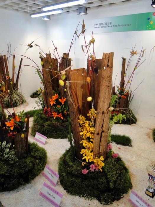 HK Flower Exhibition - Victoria Park -2093.JPG