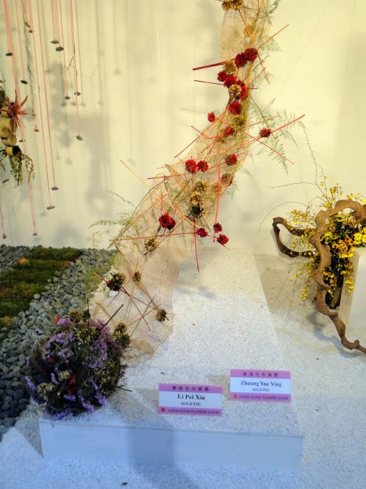 HK Flower Exhibition - Victoria Park -2096.JPG
