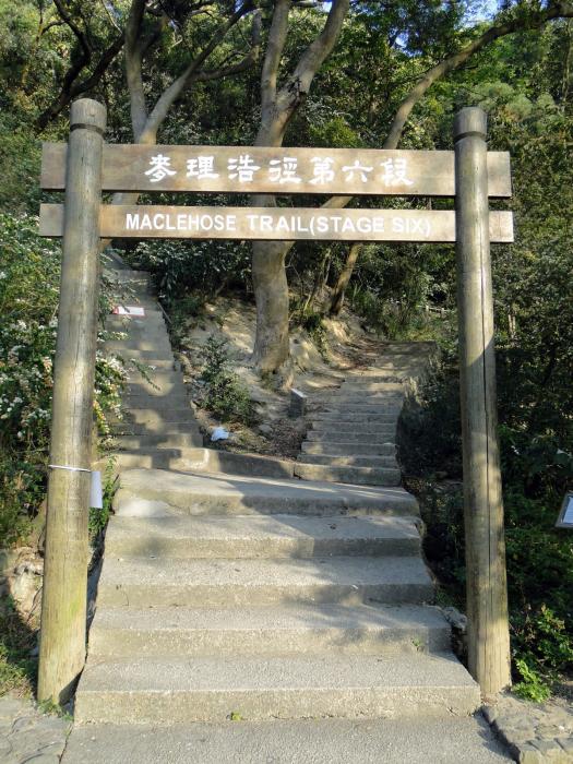 MacLehose trail section 6 (63).JPG