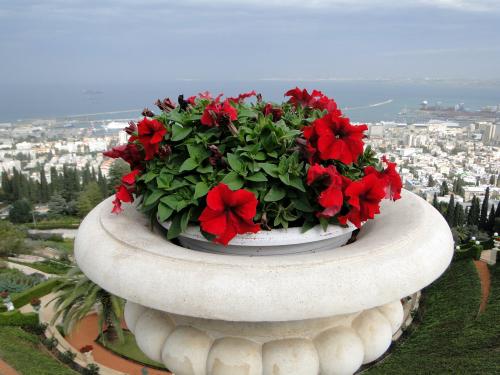 Haifa Bahai Gardens (34).JPG