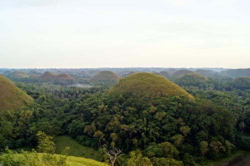 Chocolate Hills Bohol-21.JPG