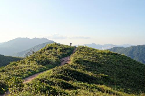 Dragon's Back hike HK island (59).JPG