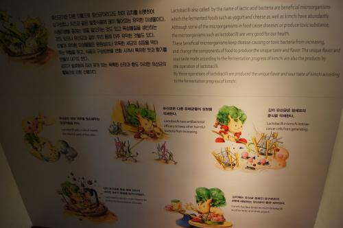 Kimchi Museum - Seoul (18).JPG