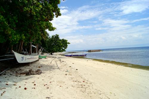 Panglao Island Bohol (50).JPG