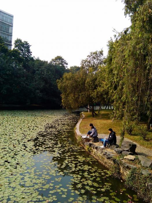 Lizhi Park - Shenzhen (37).jpg