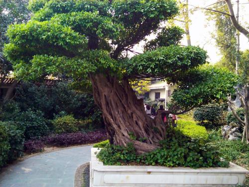 Lizhi Park - Shenzhen (44).jpg