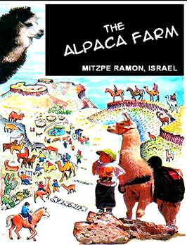 Alpaca farm : Ramon Crater - Negev