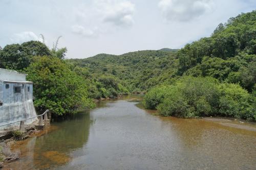 Pak Tam Chung Nature Trail (4).JPG