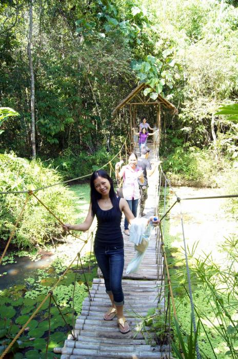 Tarsier Sanctuary in Bohol (16).JPG