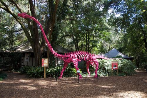 Tallahassee Museum (22).JPG