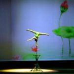 Shanghai Centre Theater : Acrobats Show