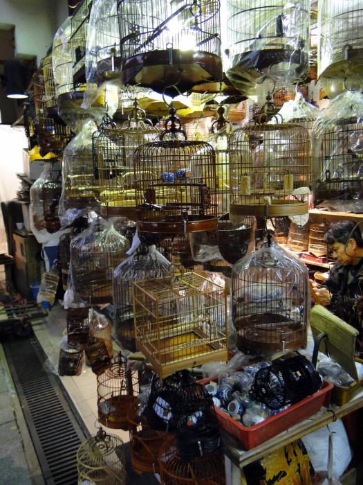 Bird market - Kowloon (3).JPG