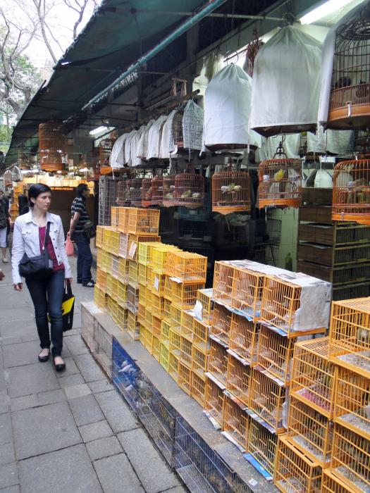 Bird market HK (5).JPG