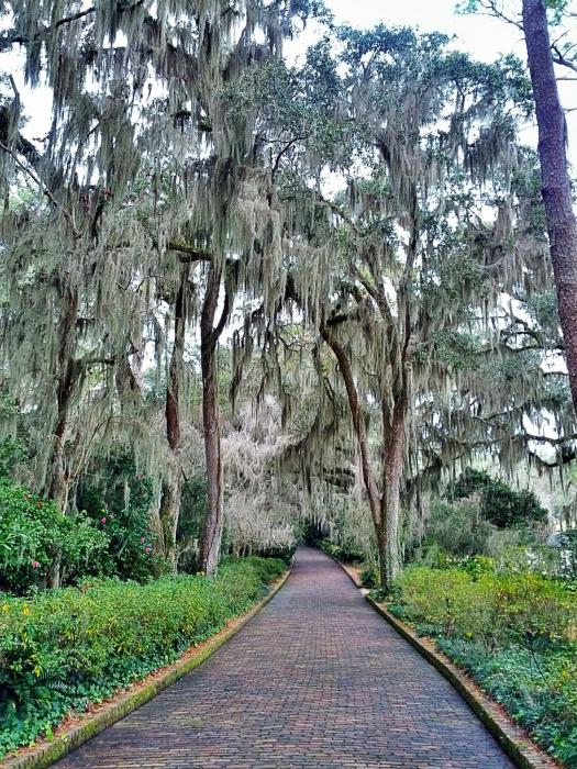 Alfred Maclay State Gardens Tallahassee (2).jpg
