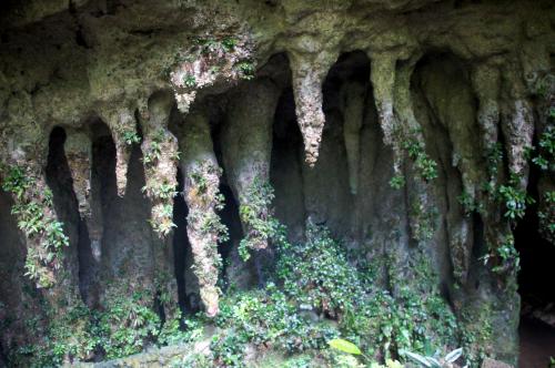 Camuy Caves Puerto Rico (13).JPG
